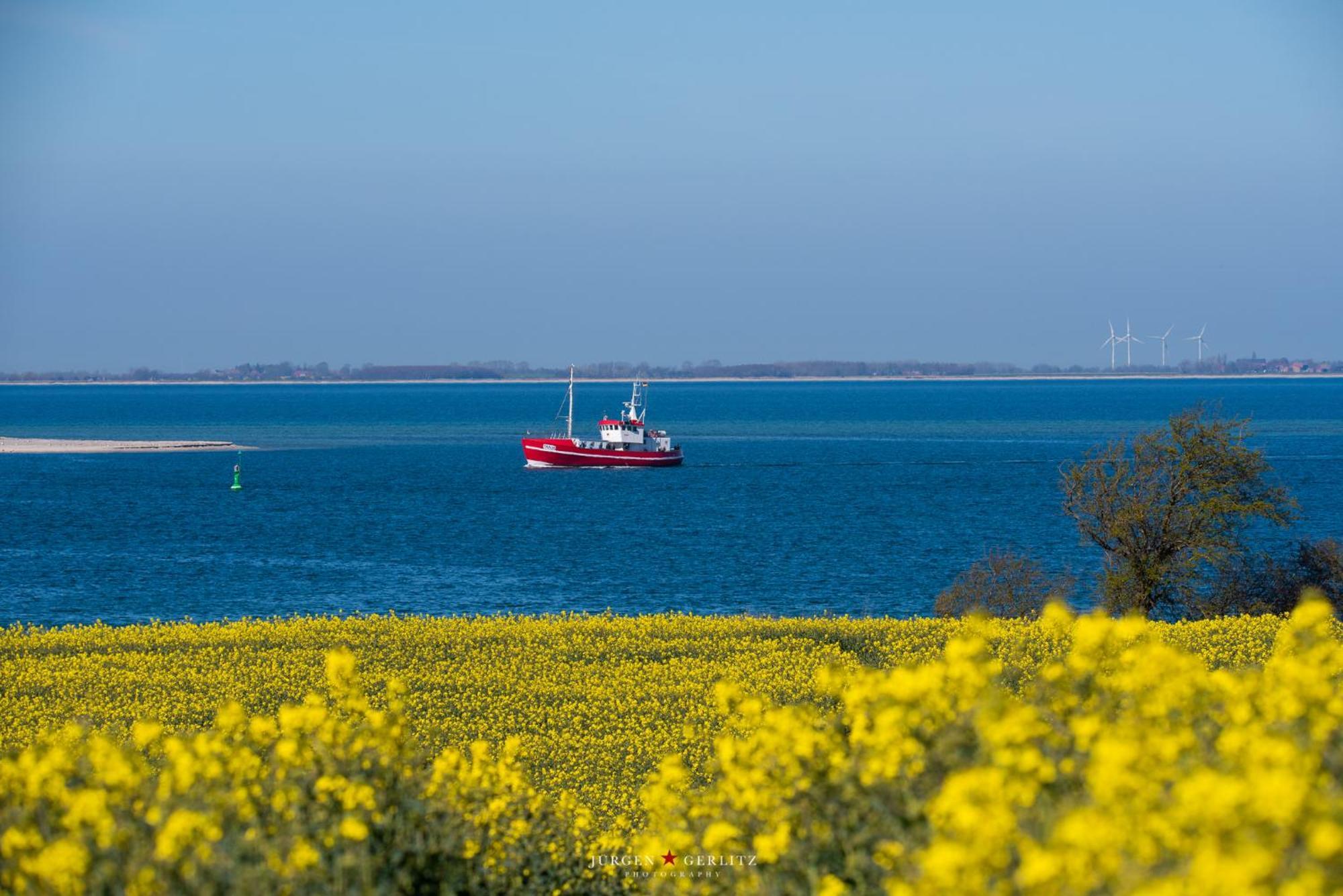 Ostseeoase Дамп Екстер'єр фото